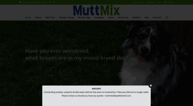 muttmix.co.za