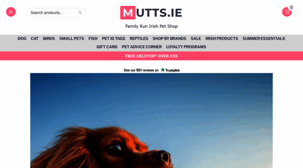 mutts.ie