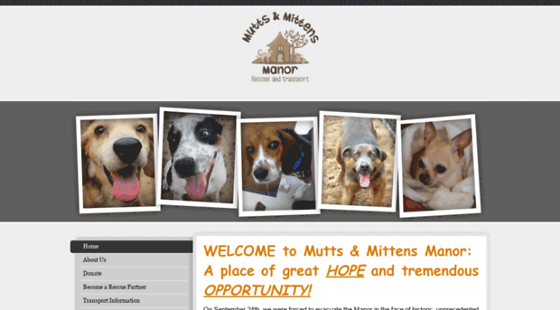 muttsandmittensmanor.org