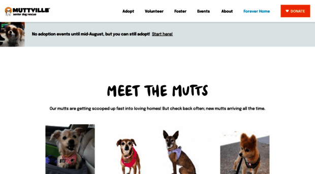 muttville.org