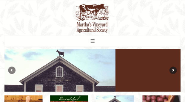 mvas.vineyard.net