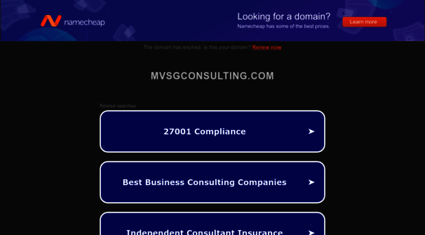 mvsgconsulting.com