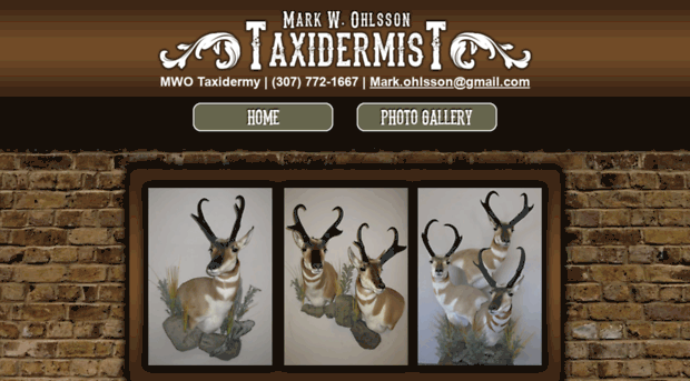 mwotaxidermy.com