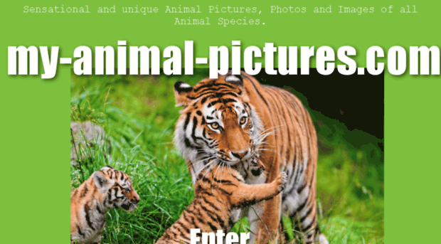 my-animal-pictures.com