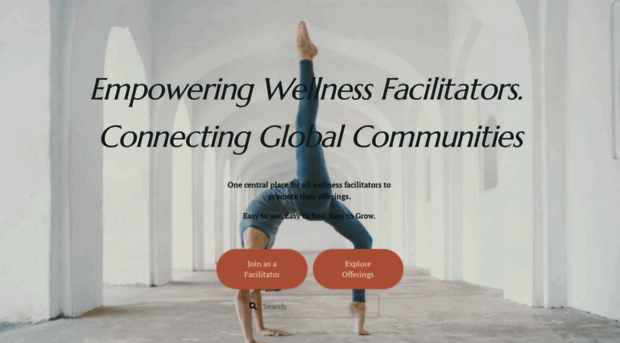 my-facilitator.com