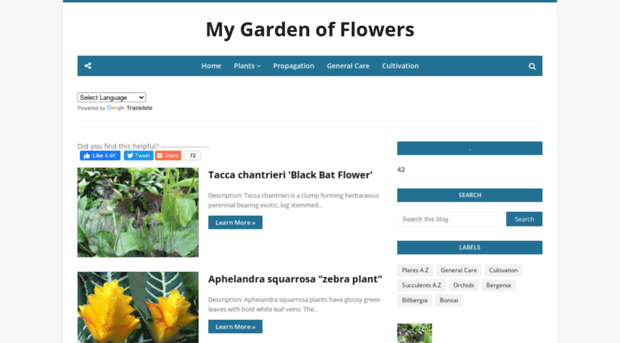 my-garden-of-flowers.blogspot.si