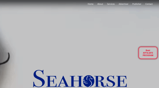 my-seahorse.com