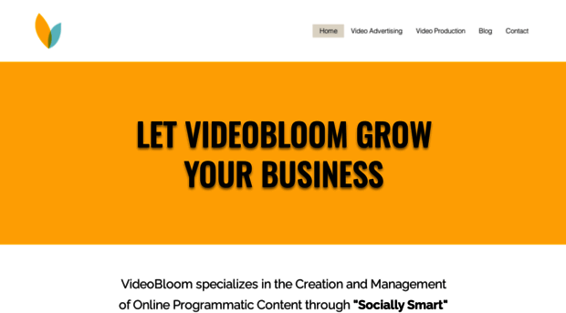my.videobloom.com
