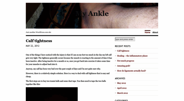 myankle.wordpress.com