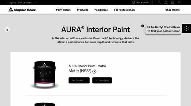 myaurapaint.com