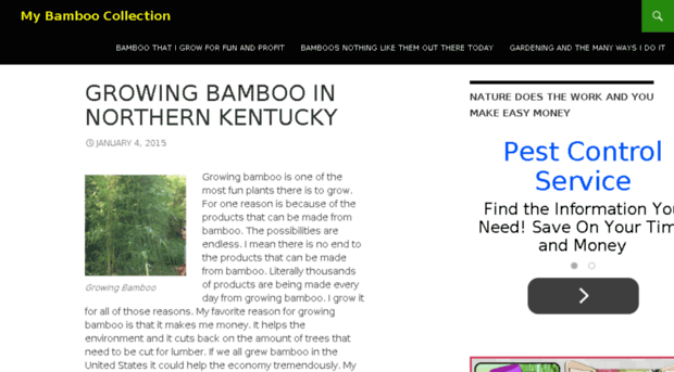 mybamboogrove.net