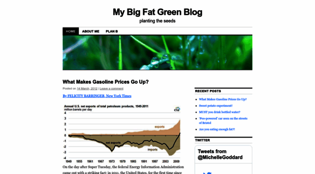 mybigfatgreenblog.wordpress.com