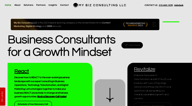 mybizconsulting.net