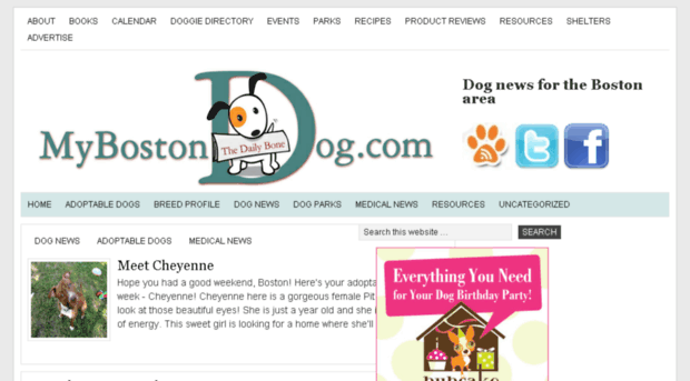 mybostondog.com