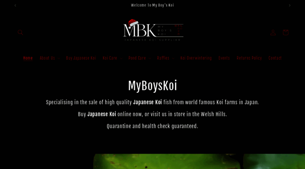 myboyskoi.com