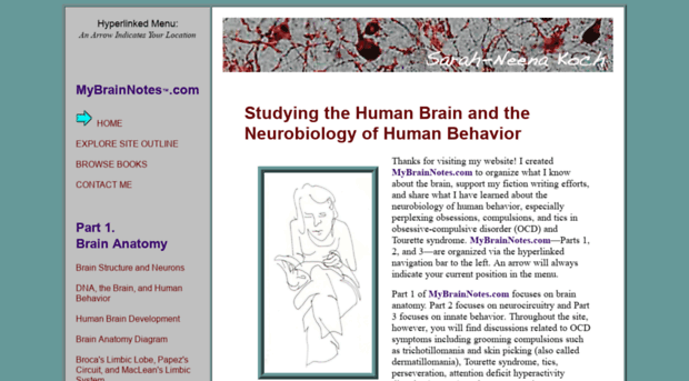 mybrainnotes.com