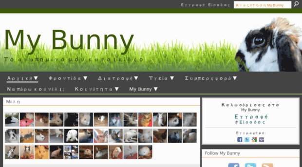 mybunny.ning.com