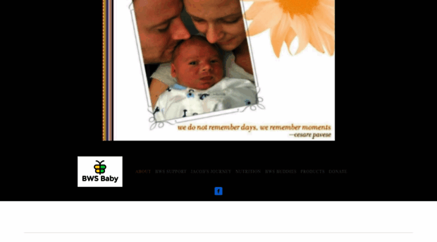 mybwsbaby.com