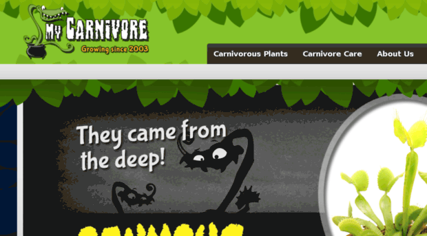 mycarnivore.com