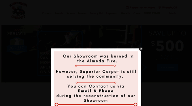 mycarpetdude.com