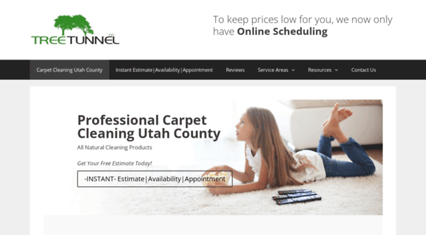 mycarpetsclean.com