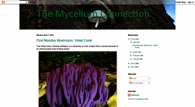 myceliumconnection.blogspot.com