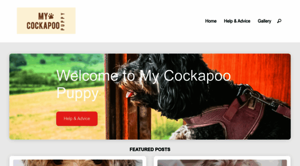 mycockapoopuppy.com
