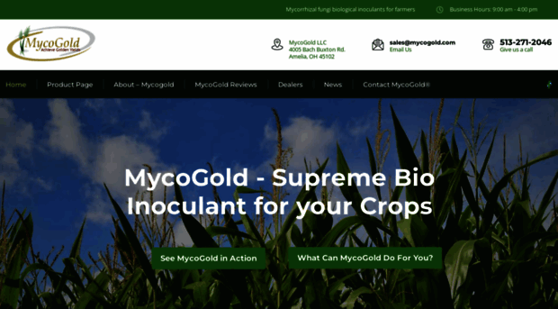 mycogold.com