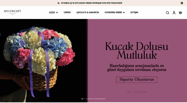 myconceptflowers.com