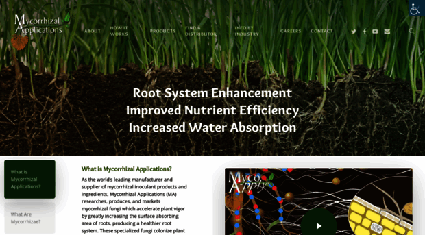 mycorrhizae.com