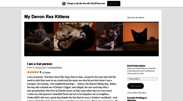 mydevonrexcats.wordpress.com