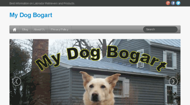 mydogbogart.com