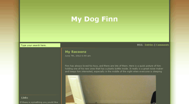 mydogfinn.com