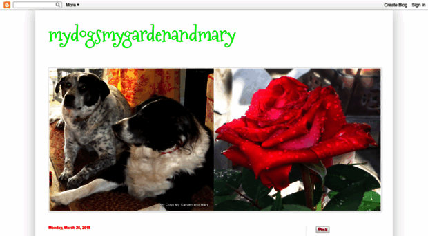 mydogsmygardenandmary.blogspot.com