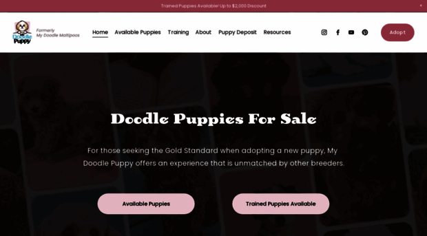 mydoodlepuppy.com