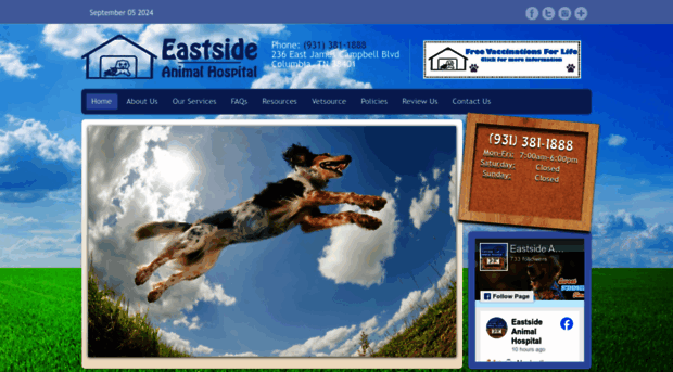 myeastsideanimalhospital.com