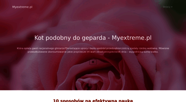 myextreme.pl