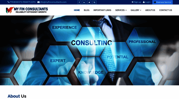 myfinconsultant.com