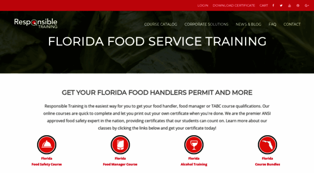 myfloridafoodhandler.com