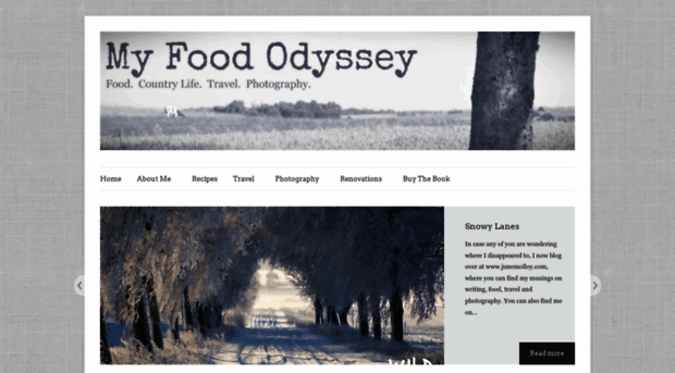 myfoododyssey.com