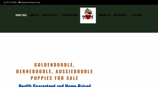 mygoldendoodles.com