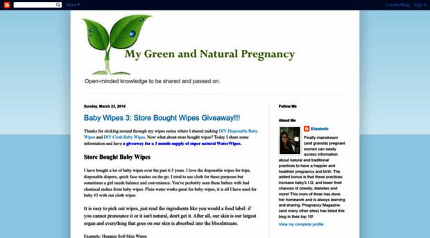 mygreenandnaturalpregnancy.blogspot.com