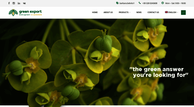 mygreenexport.com