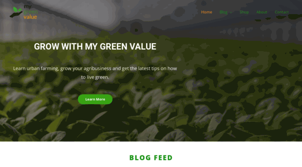 mygreenvalue.com