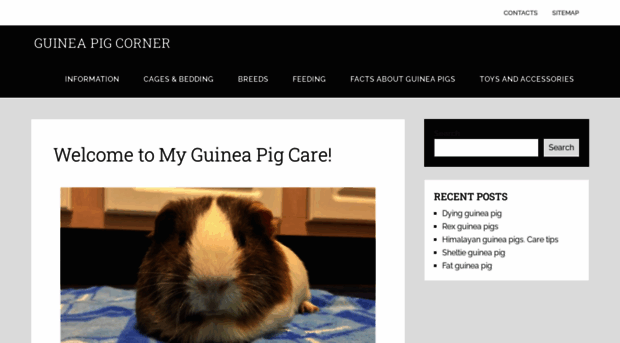 myguineapigcare.com