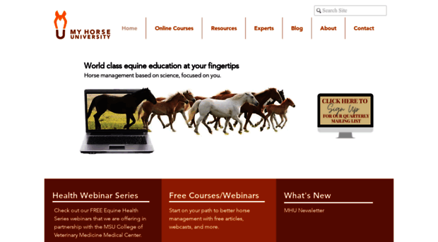 myhorseuniversity.com