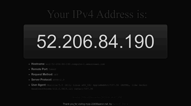 myip.22408aaron.net