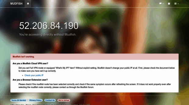 myip.mudfish.net