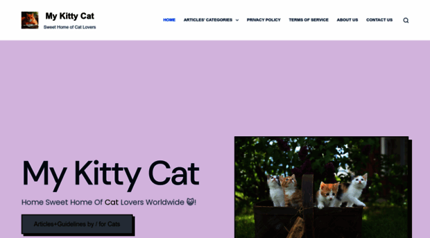 mykittycat.org