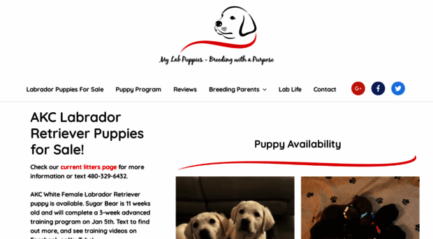 mylabpuppies.com